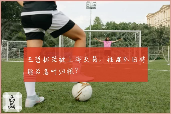 王哲林若被上海交易，福建队旧将能否落叶归根？