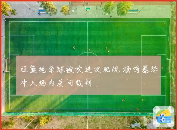 辽篮绝杀球被吹进攻犯规 杨鸣暴怒冲入场内质问裁判